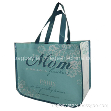 Non Woven Bag with Lamination (NSBG09-035)
